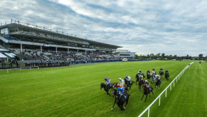 Leopardstown racecourse