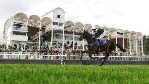 Nottingham racecourse
