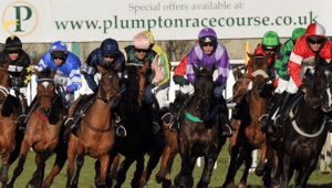 Plumpton racecourse