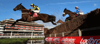Coral Gold Cup Meeting 2024