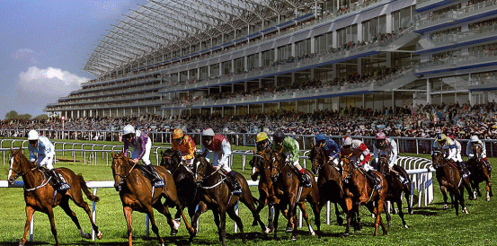 Ascot Gold Cup Tip: Scandinavia