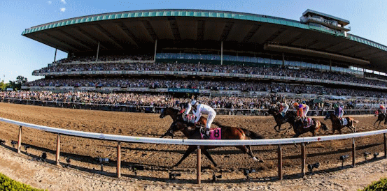 Back Renegade to Master Belmont Stakes