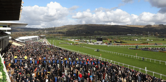 Old Park Star 9/4 Favourite to Open Cheltenham Festival