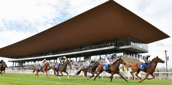 Precise and True Love Head Betting Market for Irish 1,000 Guineas