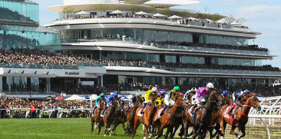 Birdman and Tom Kitten Head Australian Cup Betting Market