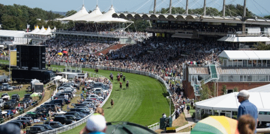 Startled Could Take All the Beating in Fitzdares Harroways Handicap