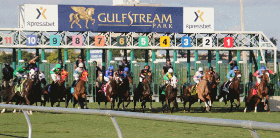 Chief Wallabee and Commandment Favourites for Florida Derby