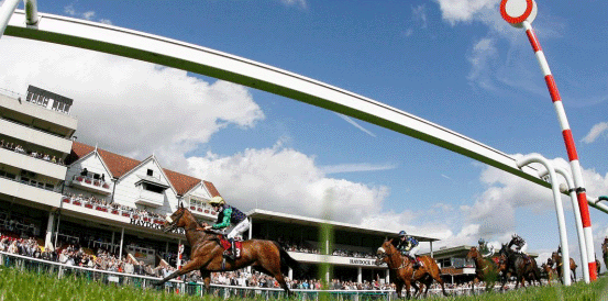 Will Tellherthename Oblige in the Pertemps Network Swinton Handicap Hurdle?