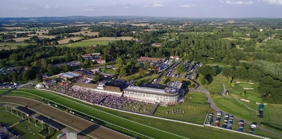 Maho Bay and Italy Among Favourites to Win Derby Trial Stakes at Lingfield