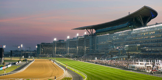 Forever Young Could be a Banker for Dubai World Cup