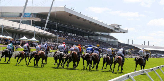 Autumn Boy and Observer Set for Rosehill Guineas Showdown