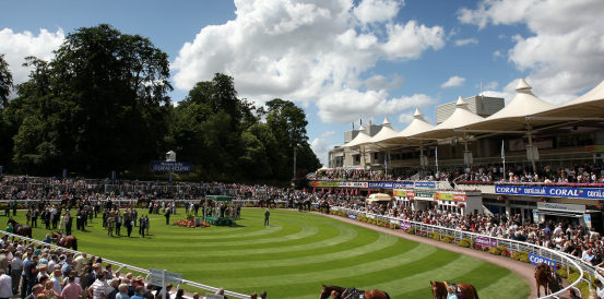 Havaila and Hyland Among bet365 Gold Cup Handicap Chase Favourites