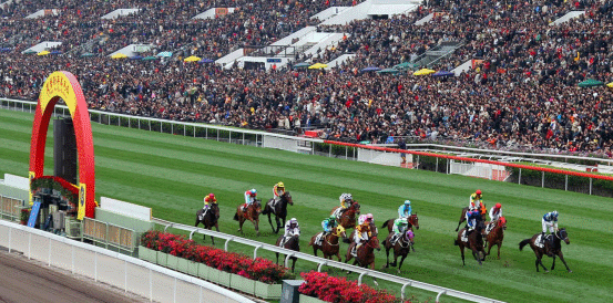 Numbers and Little Paradise Set for Hong Kong Derby Battle