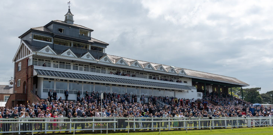 Sea Horse and Blue Rc Head Market for Thirsk Hunt Cup Handicap