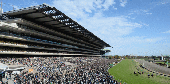 Lovcen Favourite to Win 2026 Japanese Derby