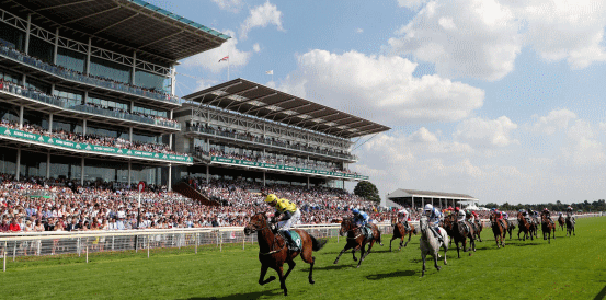 Fine Interview Could Be Value for Churchill Tyres Handicap