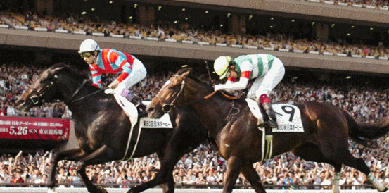 Takarazuka Kinen Tip: Croix Du Nord
