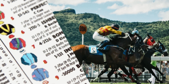 racing form explained